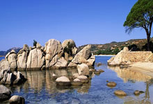 哪里能看曼城vs布莱顿的视频直播？这场比赛有哪些看点？